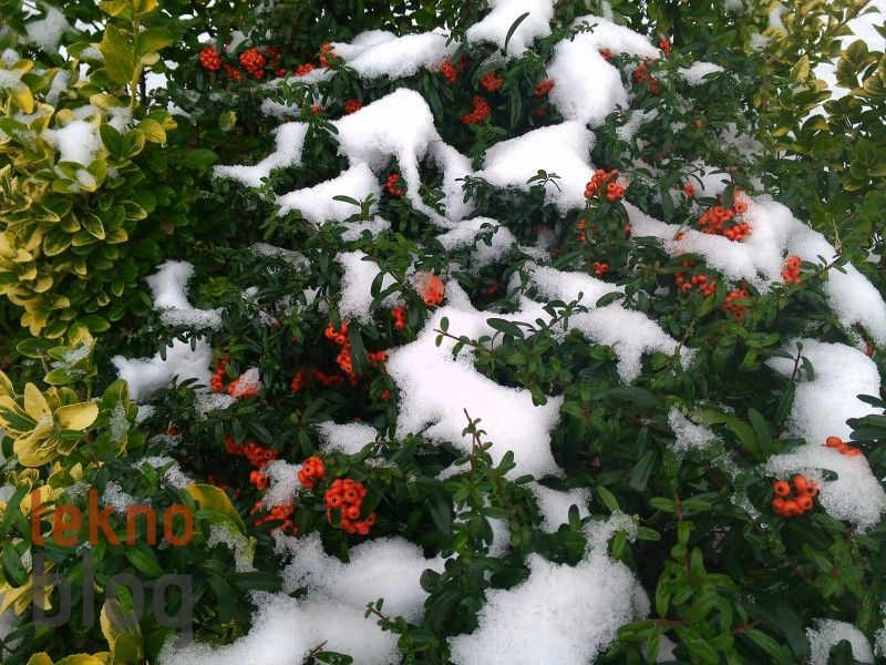 Toshiba Excite Pro İncelemesi