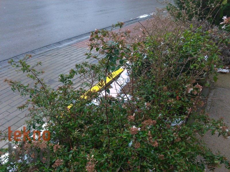 Toshiba Excite Pro İncelemesi