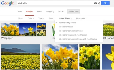Google Görsel Arama lisans haklarına göre sonuç sıralama özelliğiyle işleri kolaylaştırıyor
