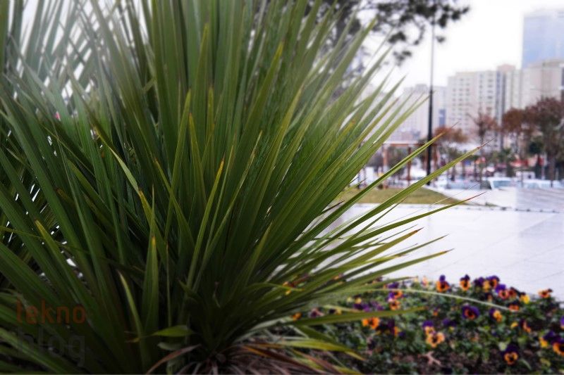 Samsung Galaxy NX İncelemesi