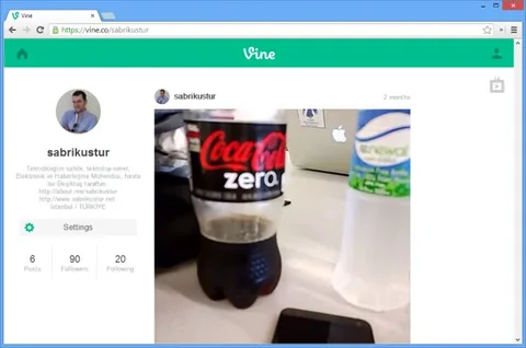 Vine web sitesi ve kullanıcı profilleri TV Modu ile birlikte açıldı