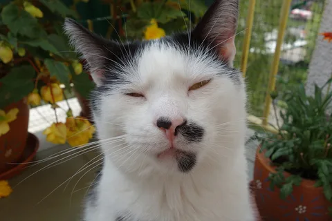 Bu fotoğraf LG G3 ile çekilmiş olabilir
