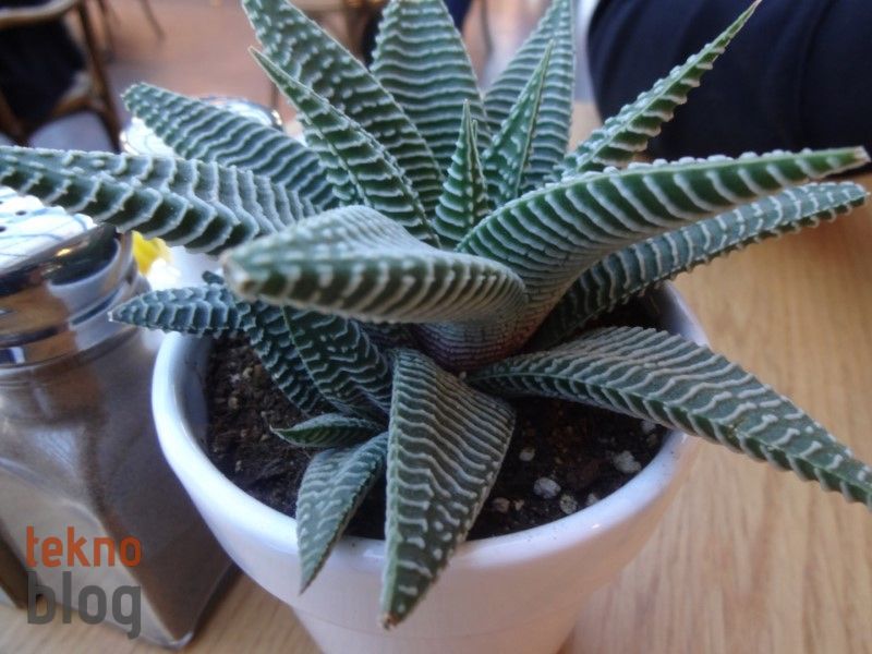 Sony Cyber-shot QX10 İncelemesi