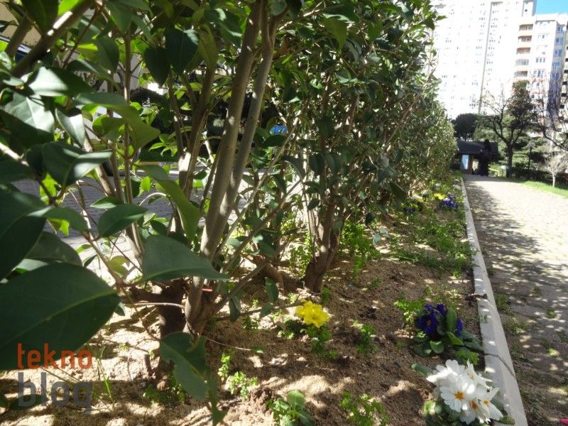 Sony Cyber-shot QX10 İncelemesi