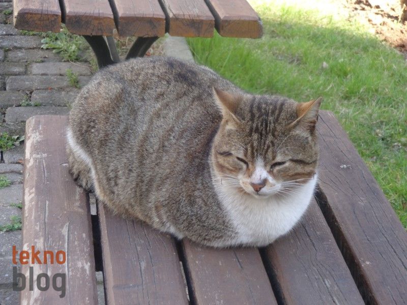 Sony Cyber-shot QX10 İncelemesi