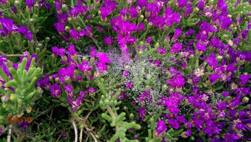 HTC One (M8) İncelemesi