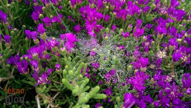 HTC One (M8) İncelemesi