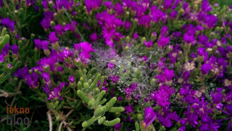 HTC One (M8) İncelemesi