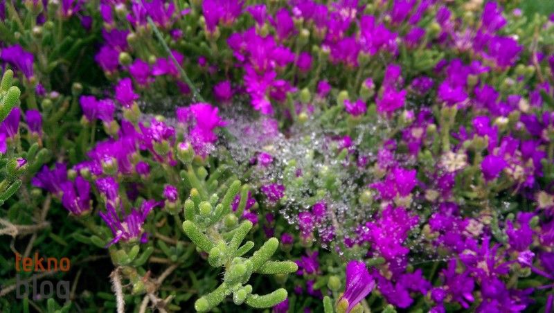 HTC One (M8) İncelemesi