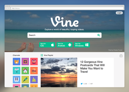 Vine masaüstü web sitesini yeniledi, kullanışlı özellikler ekledi
