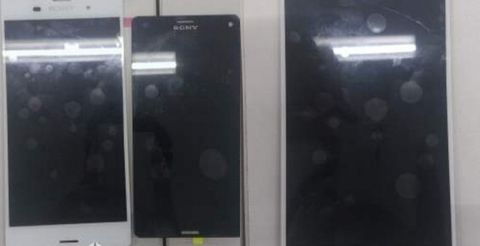 Sony Xperia Z3 ve Z3 mini sızan fotoğrafla gün yüzüne çıktı
