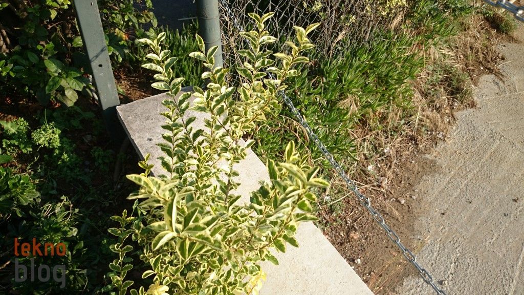 Sony Xperia Z2 İncelemesi