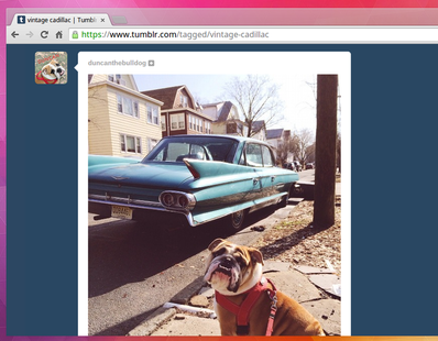 Tumblr paylaşılan fotoğraflar içinde marka taraması yapacak