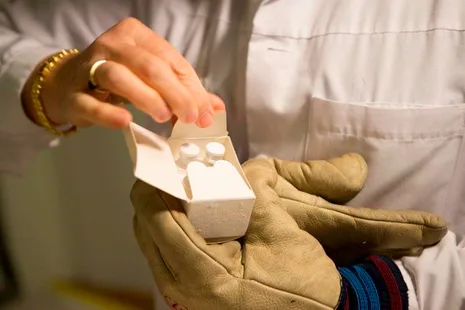 Ebola aşıları 2015’te hazır olacak