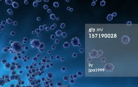 Ebola virüsü için geliştirilmiş aşı Batı Afrika’da test ediliyor