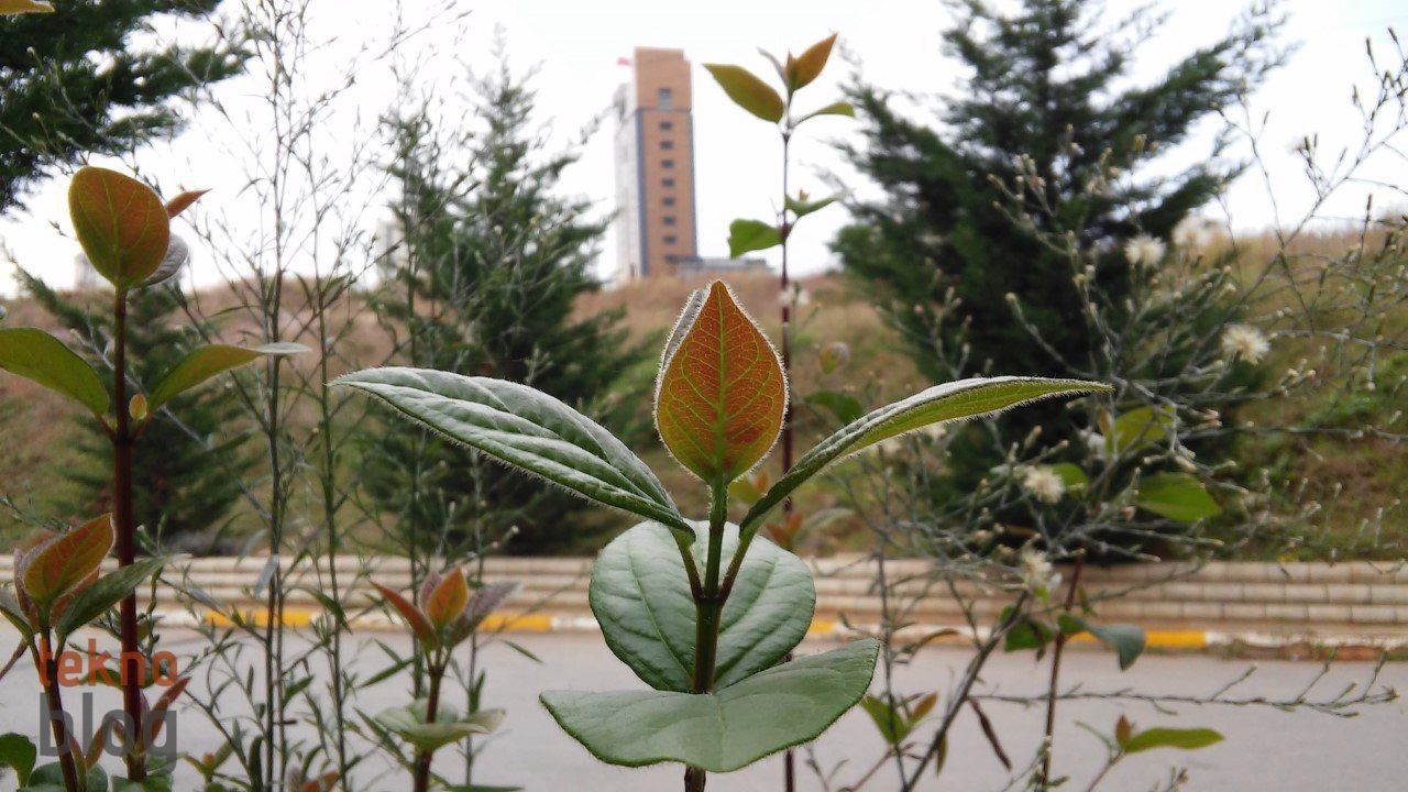 LG G3 Beat İncelemesi