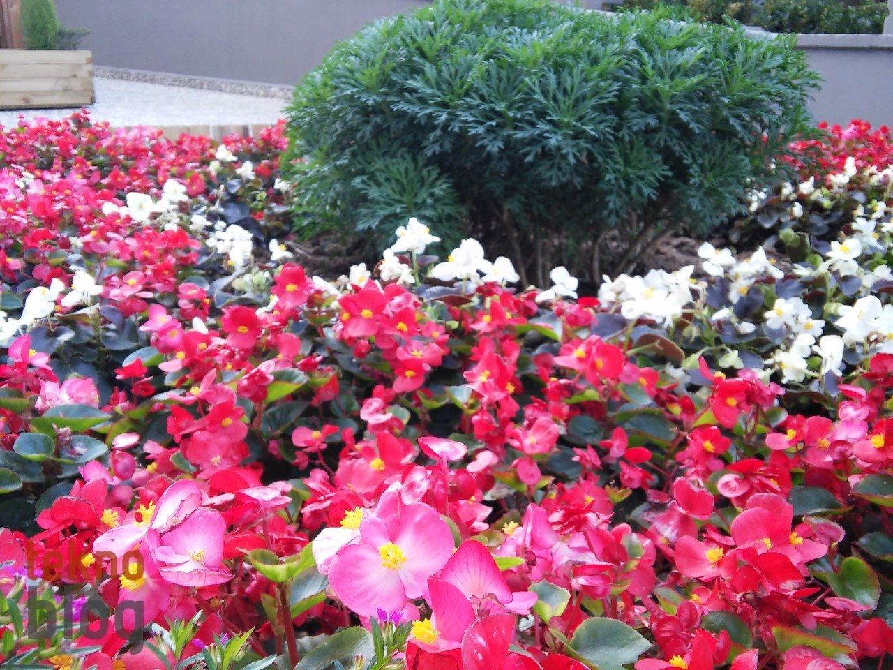 LG G3 Beat İncelemesi