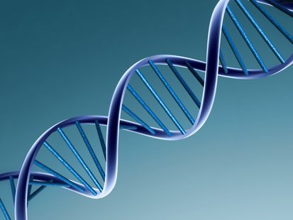 Rusya yeryüzündeki tüm varlıkların DNA’sını toplamayı amaçlıyor