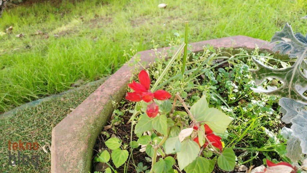 Huawei G7 İncelemesi