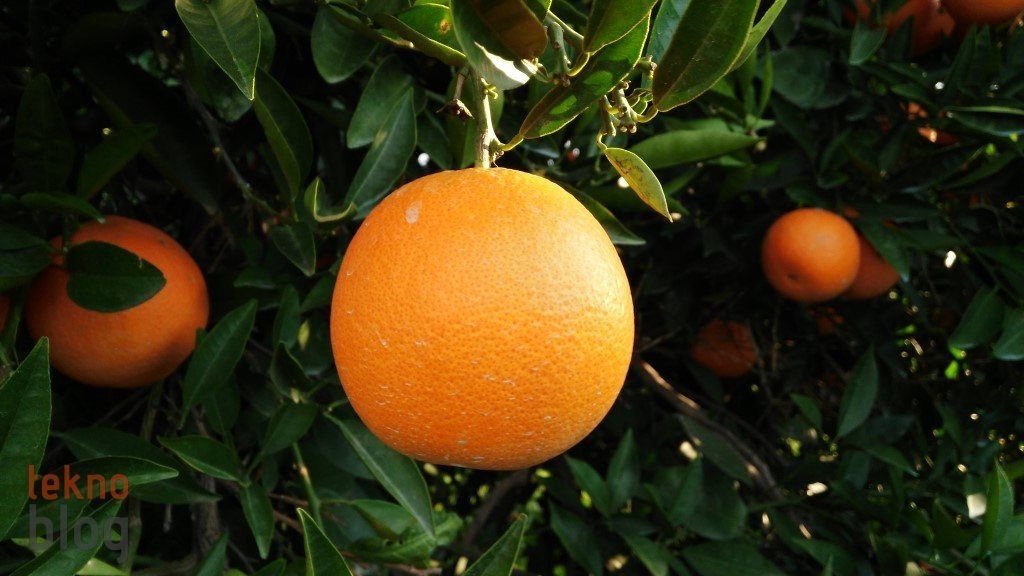 Huawei G7 İncelemesi