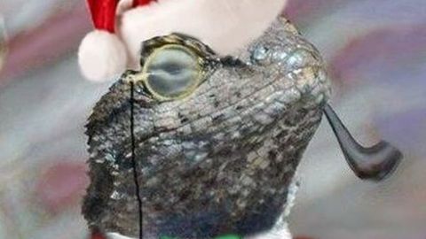 Lizard Squad’ın ücretli siber saldırı servisi kendi silahıyla vuruldu