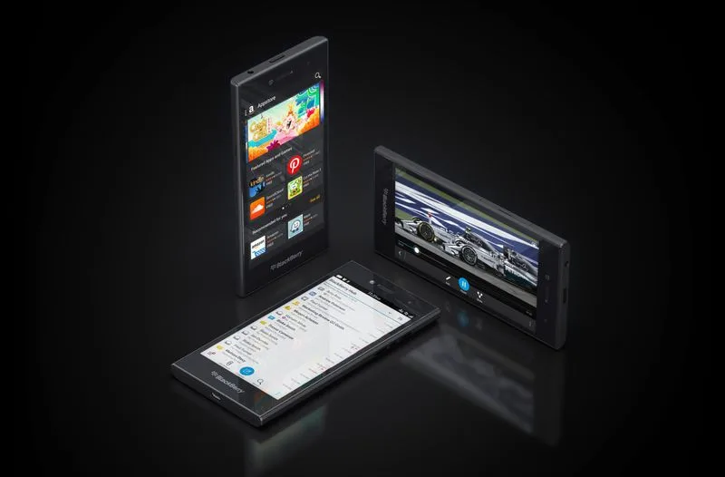 blackberry-leap-030315