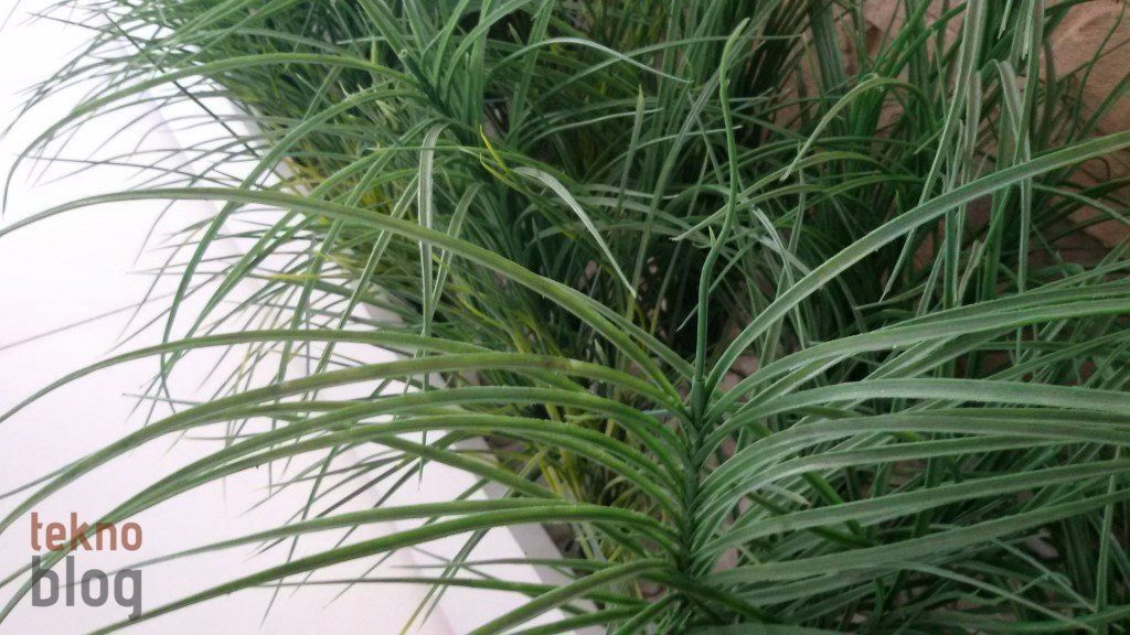 Avea Samsung Galaxy Grand 2 LTE İncelemesi