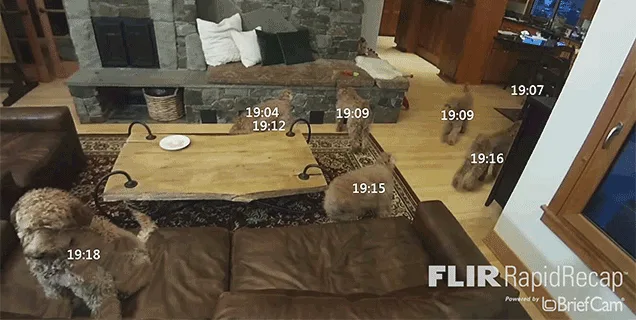 flir-fx-wi-fi-kamera-hareket-080415