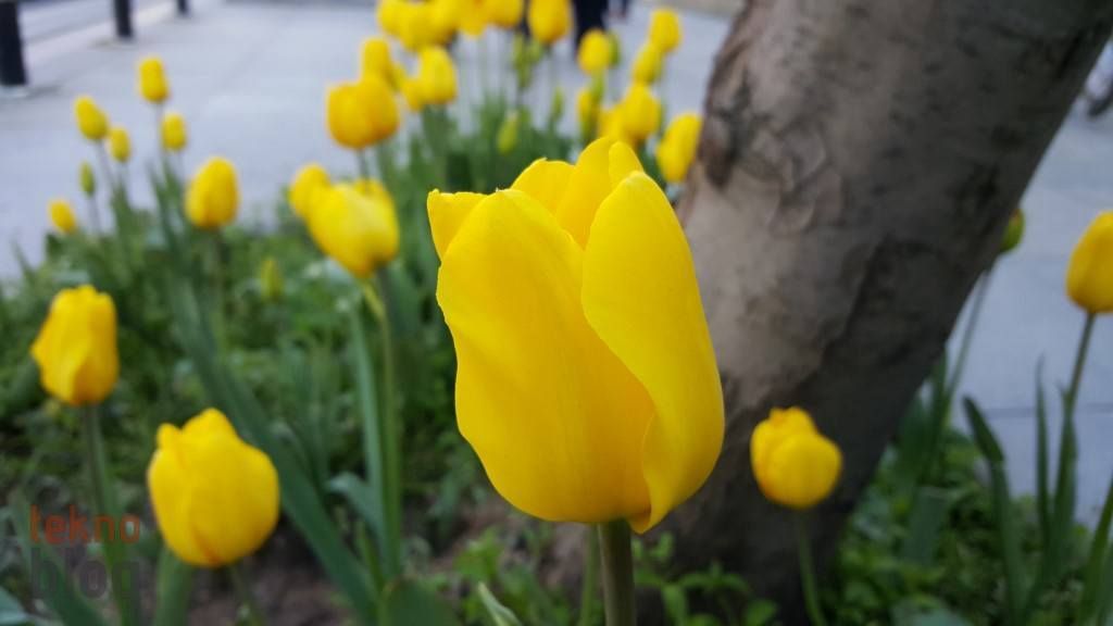 Samsung Galaxy S6 ve S6 edge İncelemesi