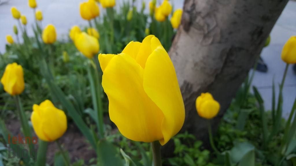 Samsung Galaxy S6 ve S6 edge İncelemesi