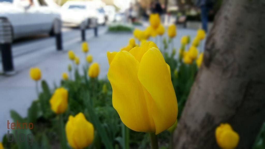 Samsung Galaxy S6 ve S6 edge İncelemesi