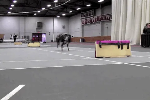 MIT’nin dört ayaklı robotu Cheetah engelli rekoruna hazırlanıyor