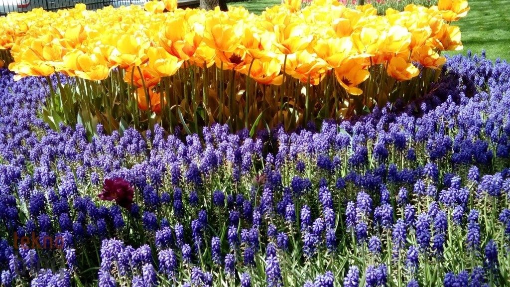 Sony Xperia E4g İncelemesi