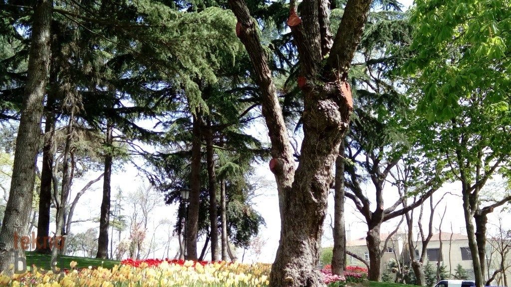 Sony Xperia E4g İncelemesi