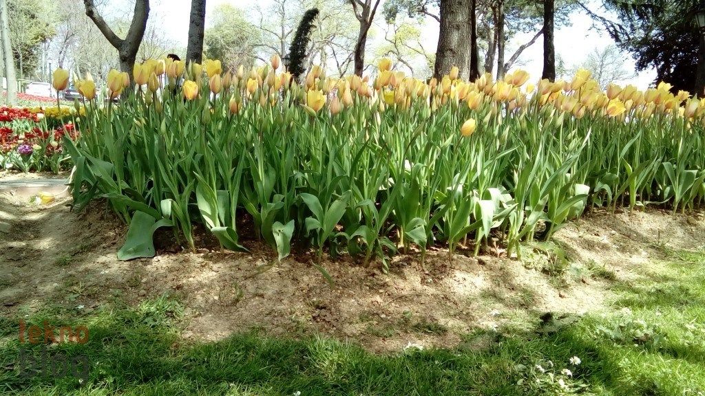 Sony Xperia E4g İncelemesi