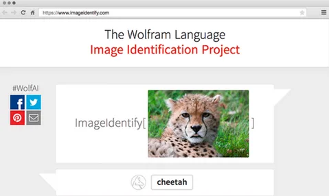 Wolfram’ın yeni yapay zekâsı gösterilen tüm görüntüleri tanımaya çalışacak
