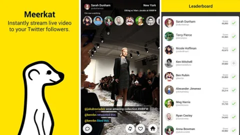 Meerkat kullanıcılarına puan sistemini hatırlattı
