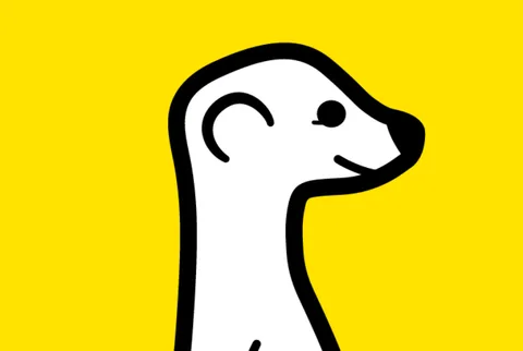 Meerkat canlı yayınları web sayfalarına eklemeye izin veriyor