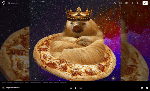 Tumblr TV ile GIF animasyonları daha çok göz önünde olacak