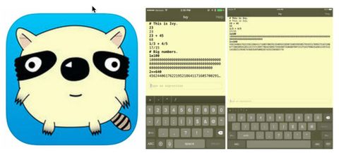 Google’dan Go programlama diliyle yazılmış hesap makinesi: Ivy