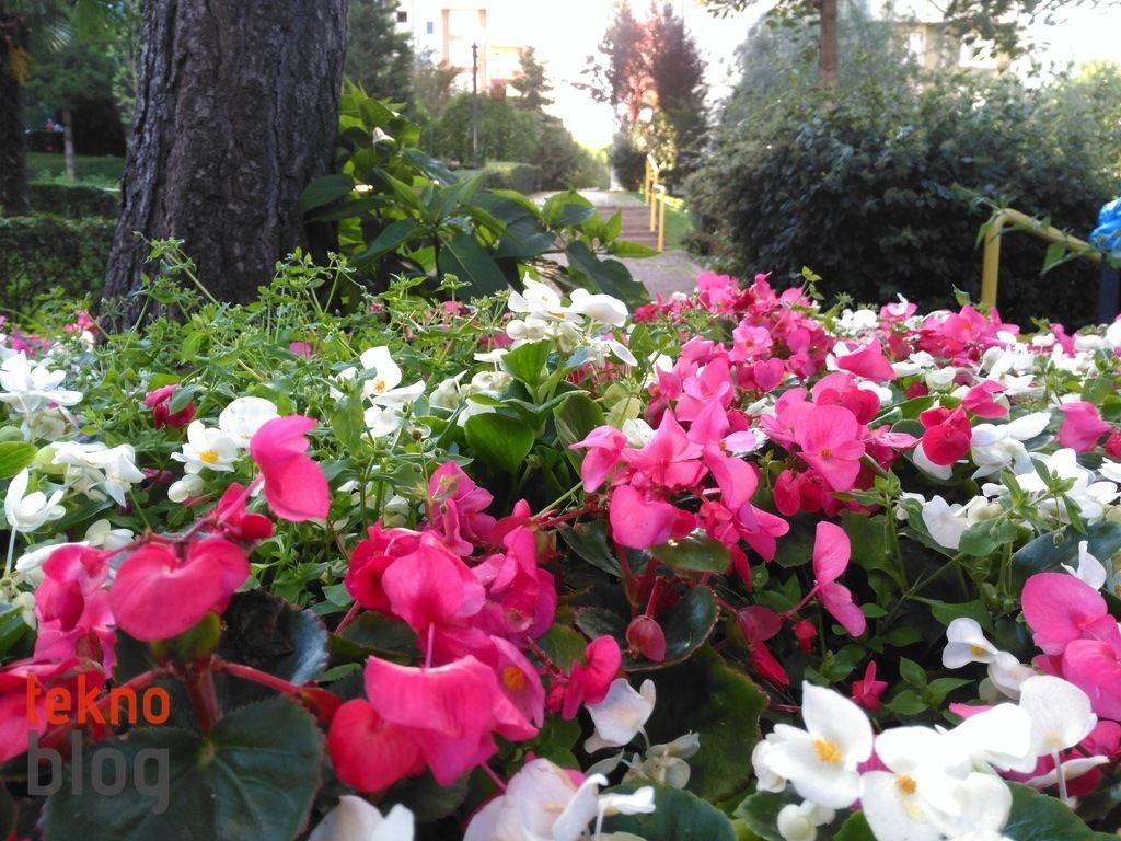 Turkcell T60 İncelemesi