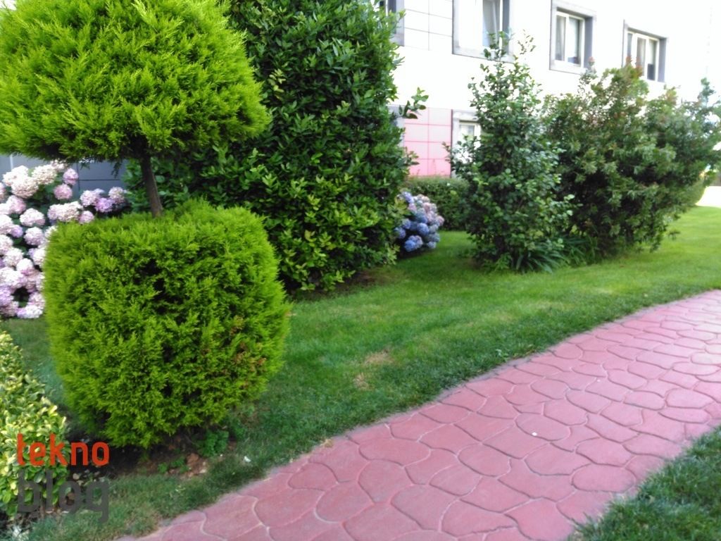 Turkcell T60 İncelemesi