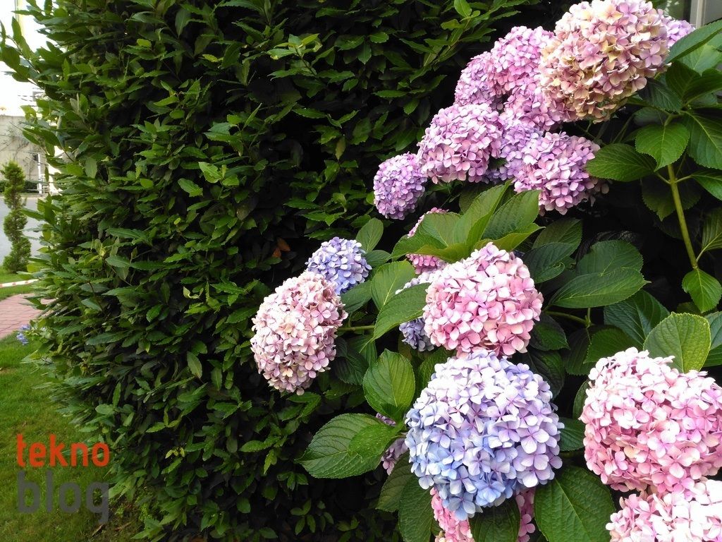 Turkcell T60 İncelemesi