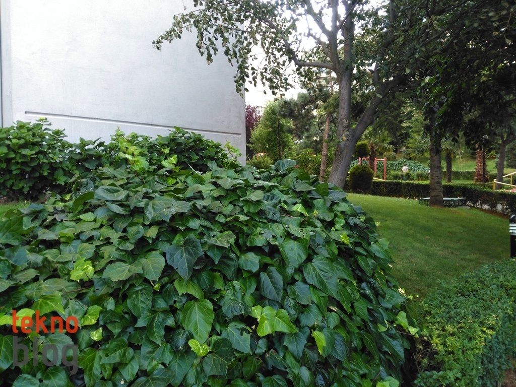 Turkcell T60 İncelemesi