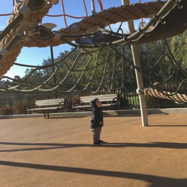 Apple Logic Pro X’e Alchemy sentezleyicisi geldi