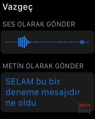 Apple Watch İncelemesi