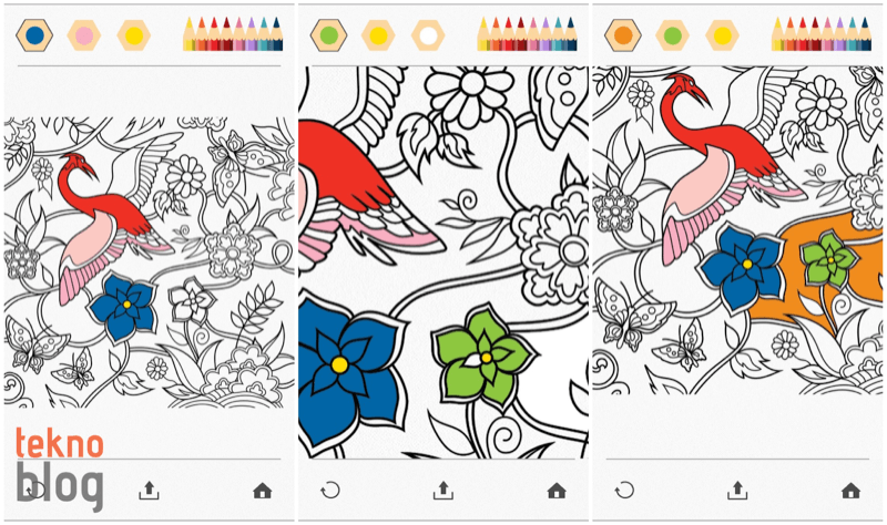 colorfy-002
