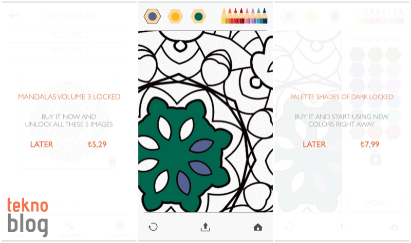 colorfy-006