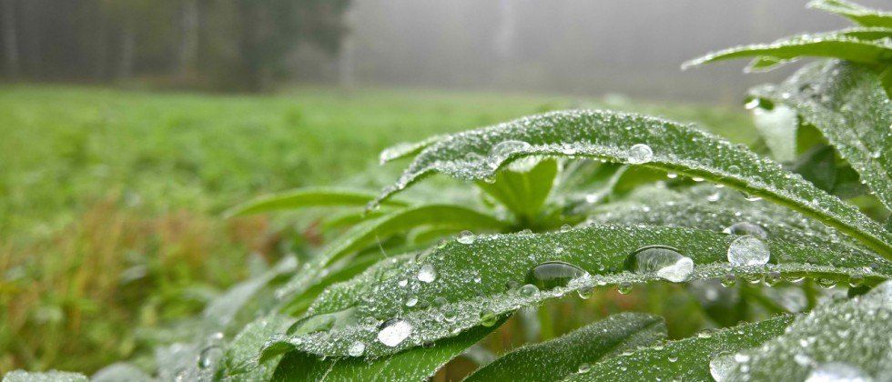 Ferrari 2019’a kadar üretim kapasitesini yüzde 30 oranında artırmayı planlıyor