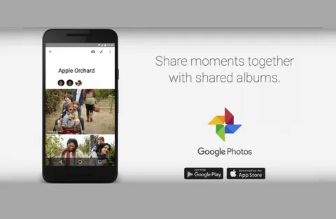 Google Fotoğraflar’a Paylaşılan Albümler, iOS uygulamasına otomatik fotoğraf silme